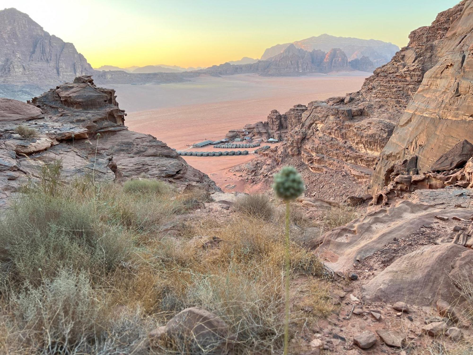 Rum Magic Nights Wadi Rum Bagian luar foto